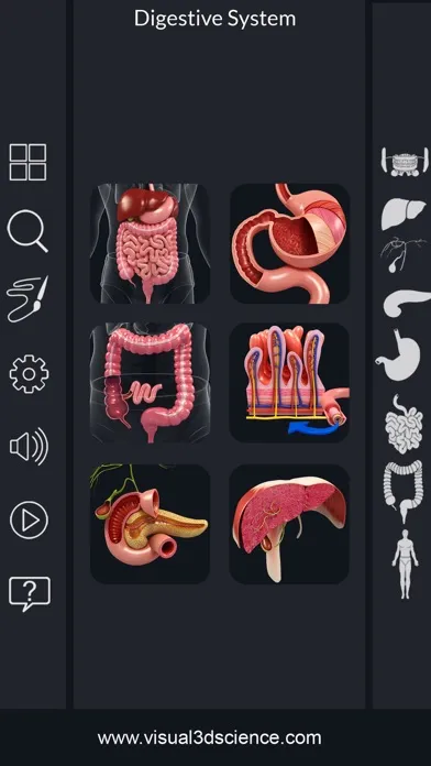 تصاویر My Digestive System Anatomy